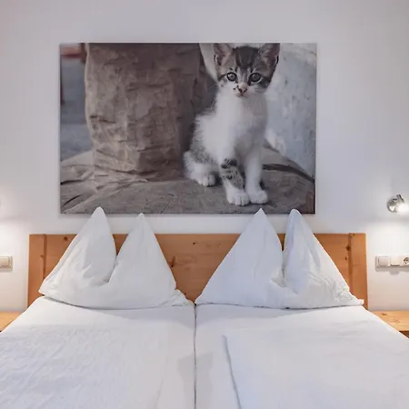 Bauernhof Hofmayer *