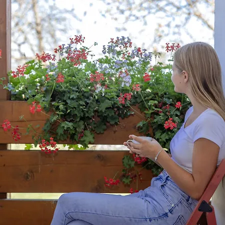 Bauernhof Hofmayer Gospodarstwo agroturystyczne