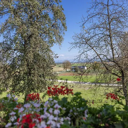 Bauernhof Hofmayer Gospodarstwo agroturystyczne Sankt Kanzian am Klopeiner See