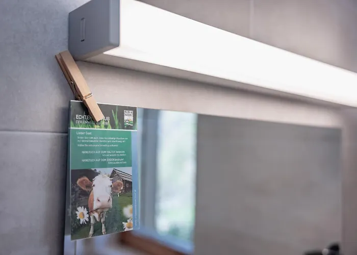 Bauernhof Hofmayer *