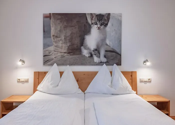 Bauernhof Hofmayer *